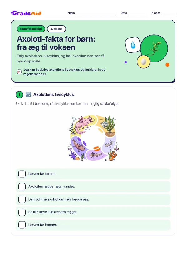 Side 1 af Axolotl-fakta for børn: fra æg til voksen