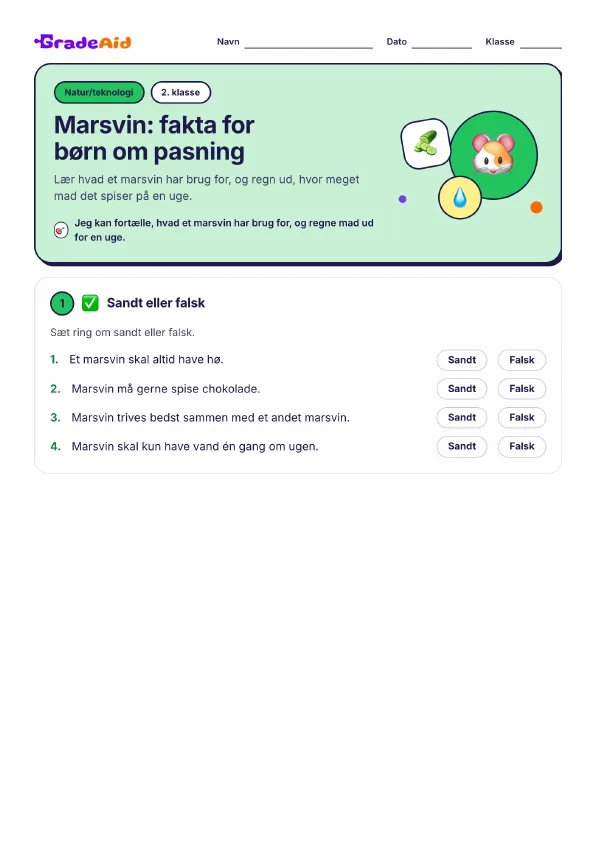 Side 1 af Marsvin: fakta for børn om pasning