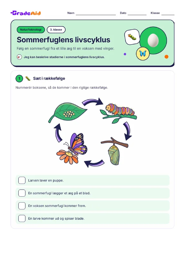 Side 1 af Sommerfuglens livscyklus
