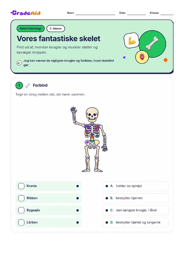 Side 1 af Vores fantastiske skelet