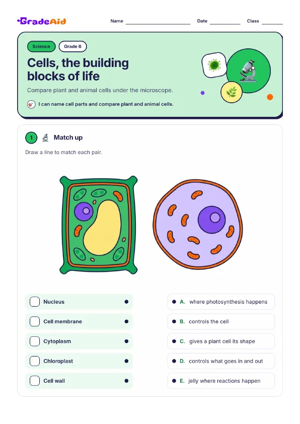 Page 1 of Cells, the building blocks of life