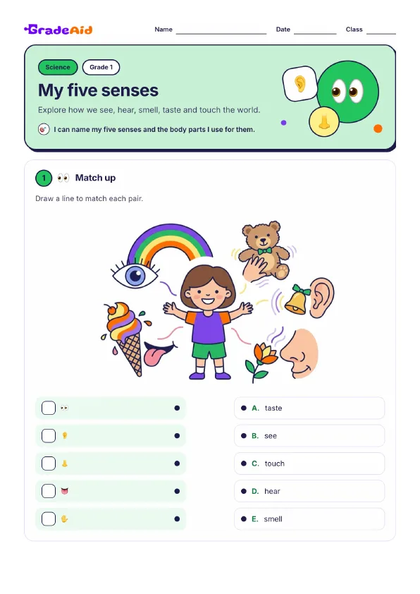 Page 1 of My five senses