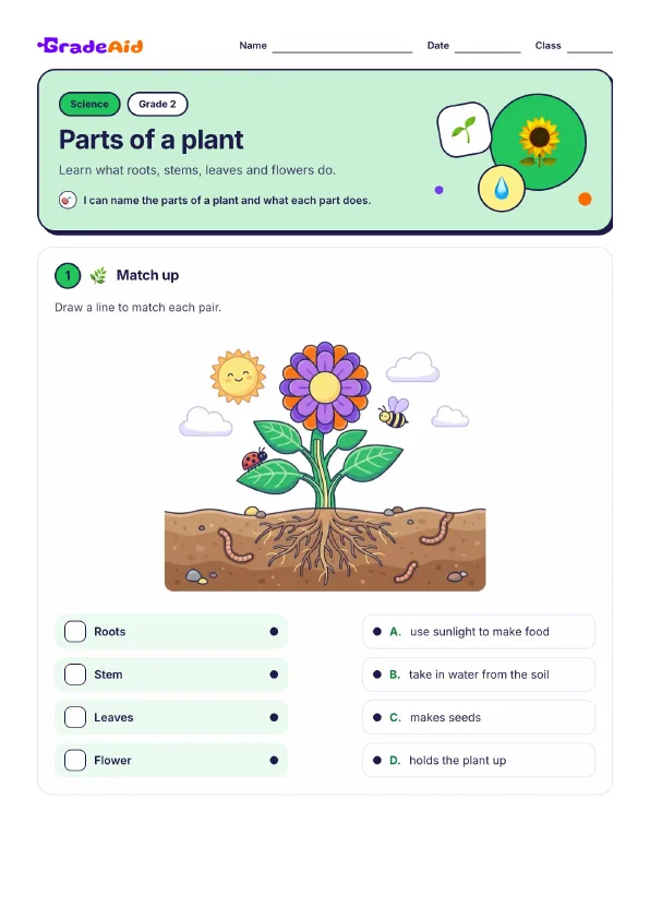 Page 1 of Parts of a plant