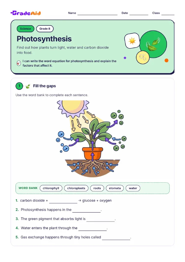 Page 1 of Photosynthesis