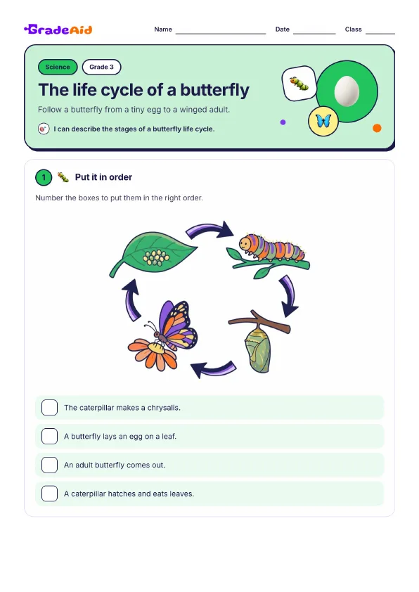 Page 1 of The life cycle of a butterfly