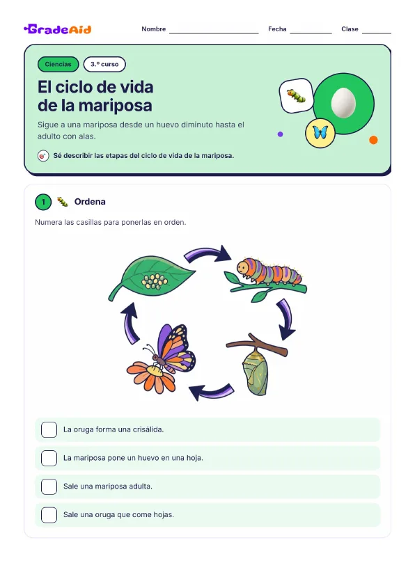 Página 1 de El ciclo de vida de la mariposa