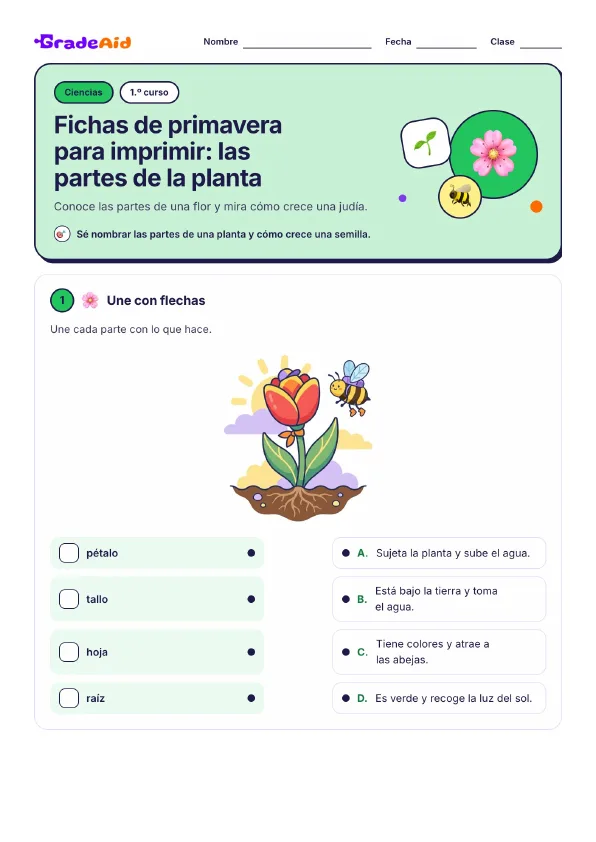 Página 1 de Fichas de primavera para imprimir: las partes de la planta