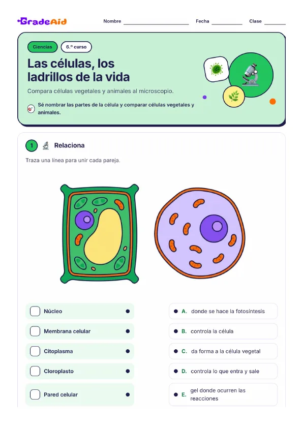 Página 1 de Las células, los ladrillos de la vida