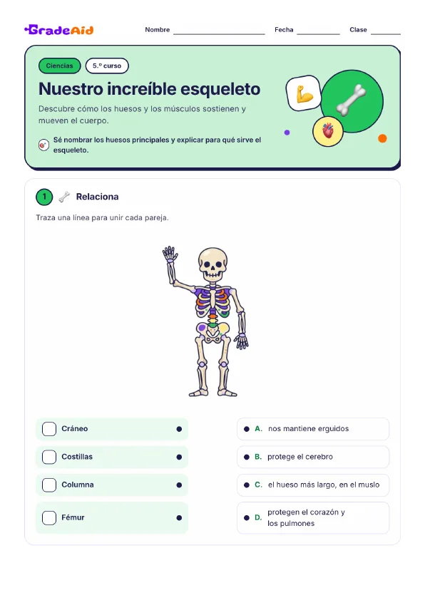 Página 1 de Nuestro increíble esqueleto