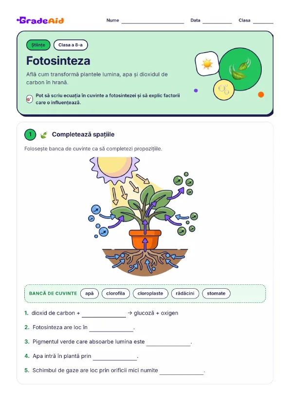 Pagina 1 din Fotosinteza