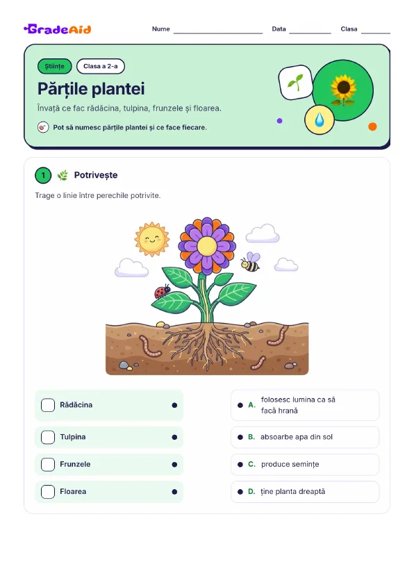 Pagina 1 din Părțile plantei